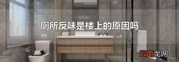 厕所反味是楼上的原因吗