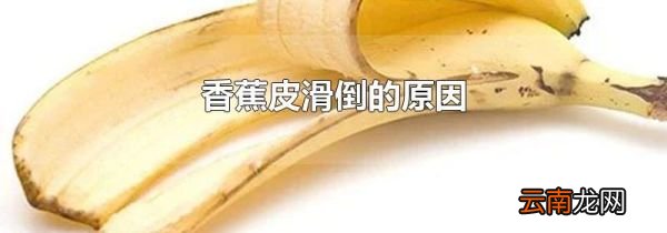 香蕉皮滑倒的原因