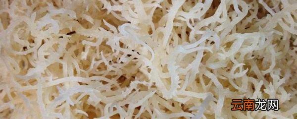 石花菜用开水还是凉水泡好 石花菜怎么泡