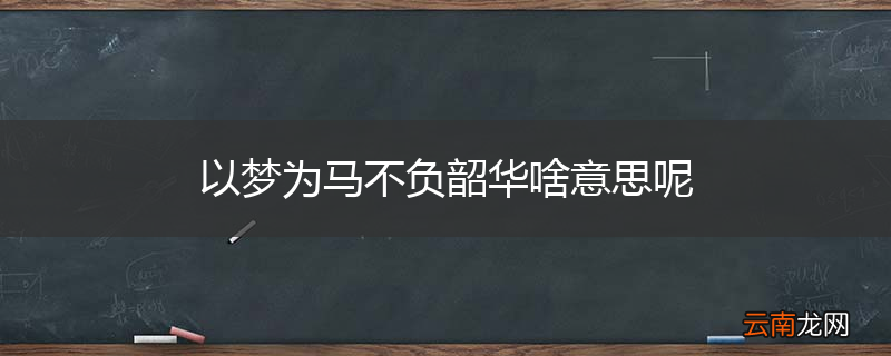 以梦为马不负韶华啥意思呢