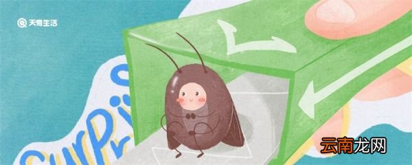 怎么除掉家里的蟑螂 怎样彻底除掉家里的蟑螂