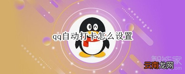 qq自动打卡怎么设置