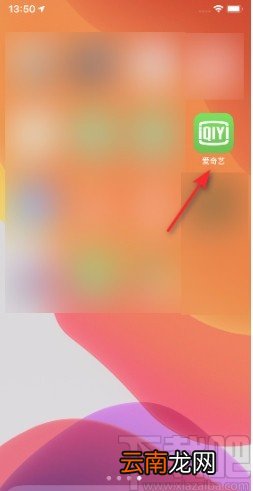 爱奇艺APP开启新增关注推送的方法