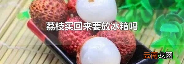 荔枝买回来要放冰箱吗