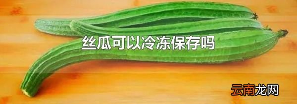丝瓜可以冷冻保存吗