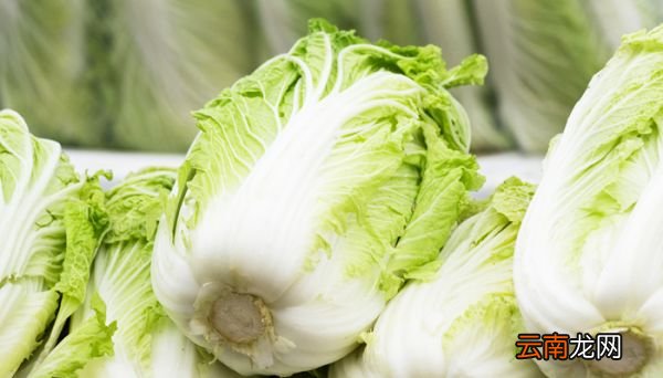 白菜炒肉怎么炒 白菜炒肉怎么炒才好吃