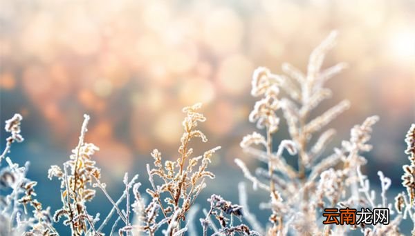 霜前冷,雪后寒的物理原因 霜前冷雪后寒是什么物理现象
