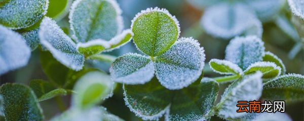 霜前冷,雪后寒的物理原因 霜前冷雪后寒是什么物理现象