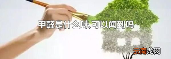 甲醛是什么味,可以闻到吗