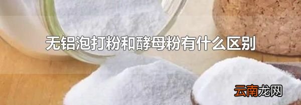 无铝泡打粉和酵母粉有什么区别