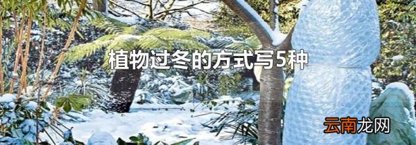植物过冬的方式写5种