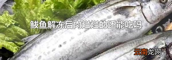 鲅鱼解冻后肉烂烂的还能吃吗