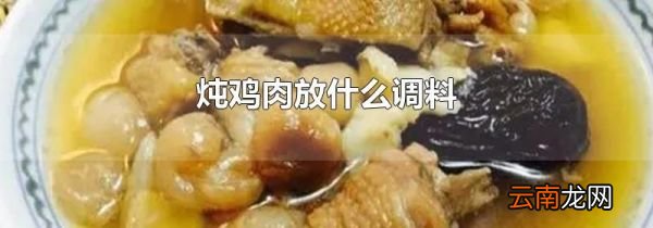 炖鸡肉放什么调料