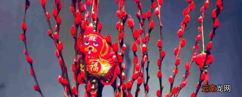 银柳会掉色吗