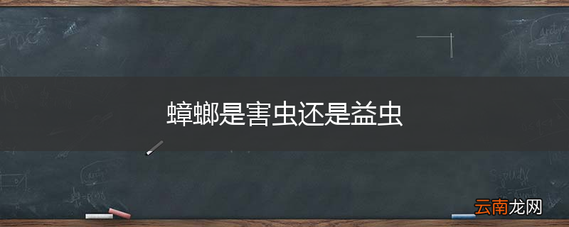 蟑螂是害虫还是益虫