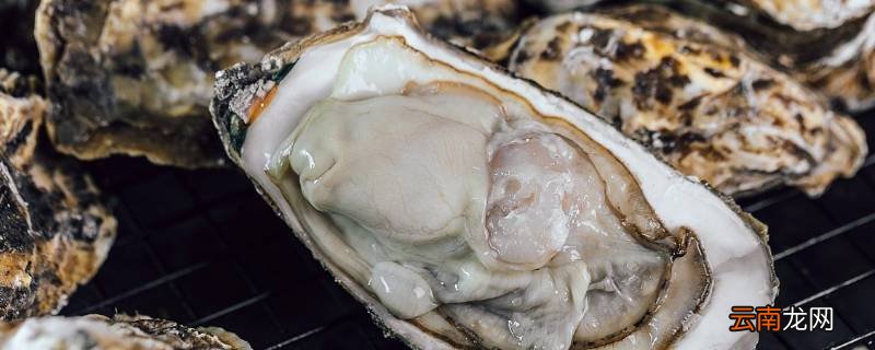 带壳的海蛎子怎么保存