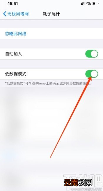 iPhone 12关闭WiFi低数据模式的方法