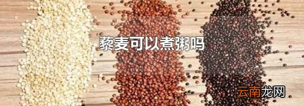 藜麦可以煮粥吗