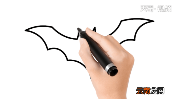 万圣节蝙蝠简笔画 万圣节蝙蝠简笔画怎么画