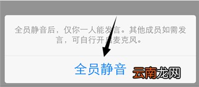 qq通话怎么全员静音