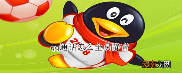 qq通话怎么全员静音