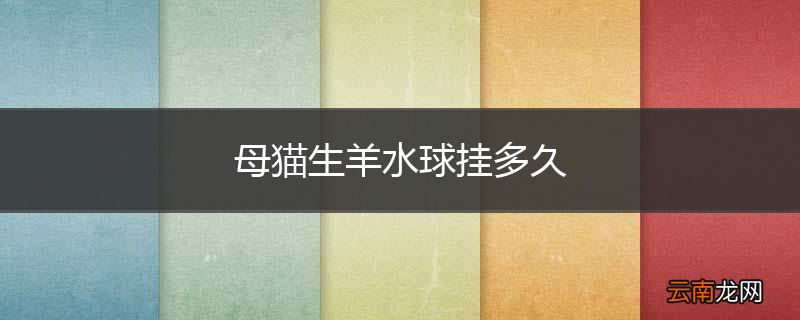 母猫生羊水球挂多久