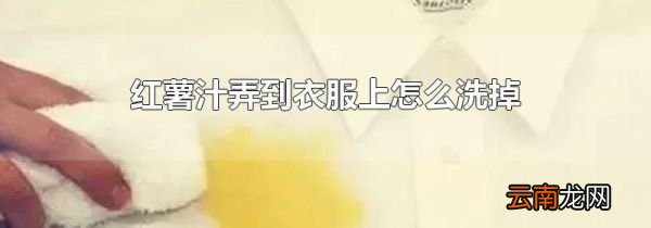 红薯汁弄到衣服上怎么洗掉