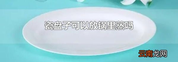 瓷盘子可以放锅里蒸吗