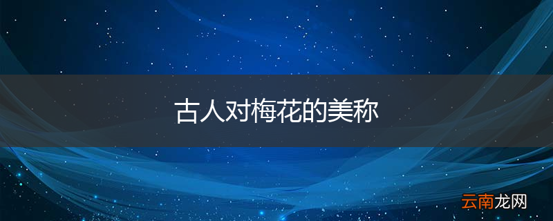 古人对梅花的美称