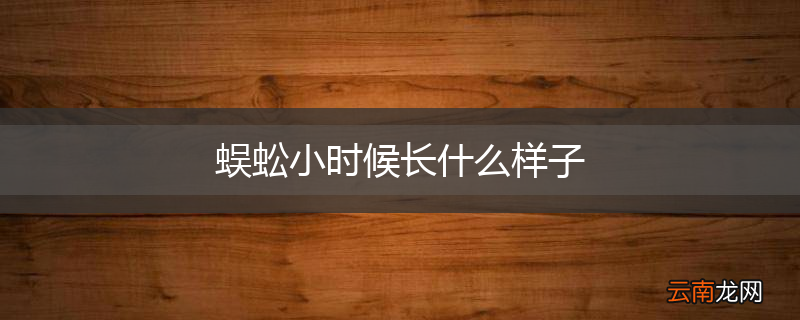 蜈蚣小时候长什么样子