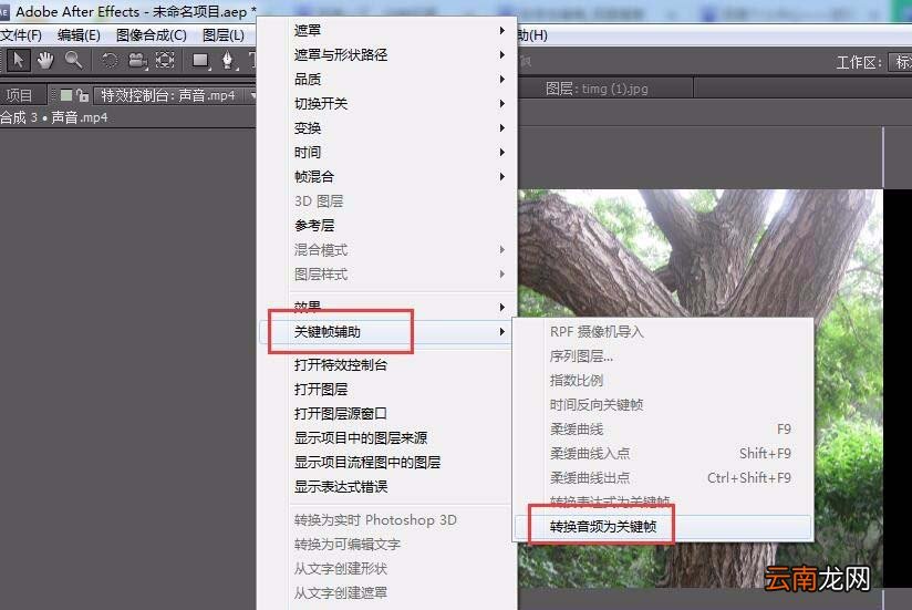 AE设计会说话大树动画详细操作步骤