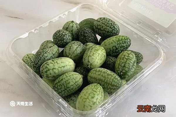 拇指西瓜的功效与作用 拇指西瓜的功效与作用是什么