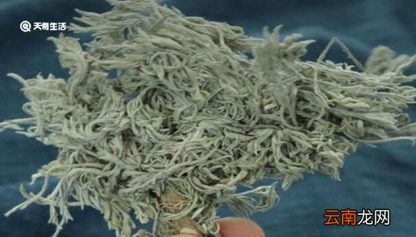 白蒿的别名叫什么 白蒿有哪些别称