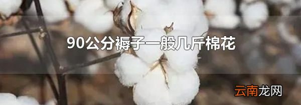 90公分褥子一般几斤棉花