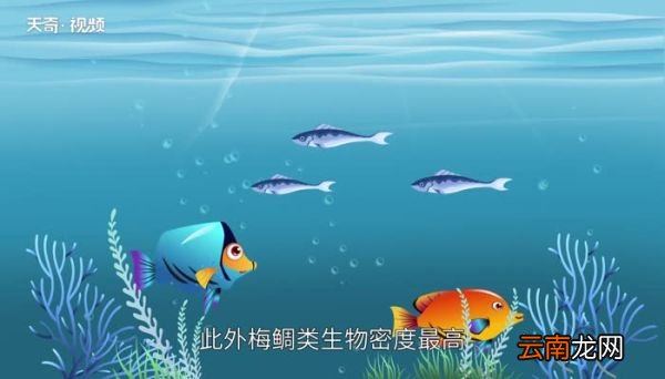 西沙群岛在哪里西沙群岛在哪个省