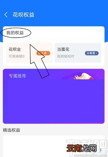 支付宝APP查看花呗权益的方法