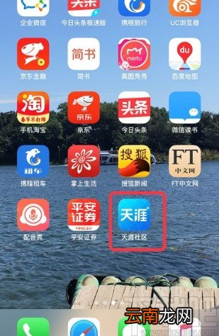 天涯社区APP更改图片显示模式的方法