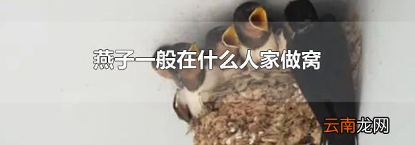 燕子一般在什么人家做窝