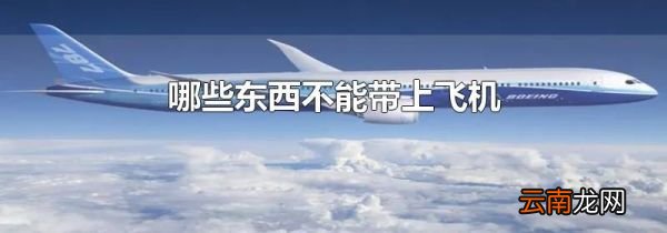 哪些东西不能带上飞机