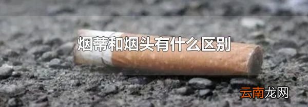 烟蒂和烟头有什么区别