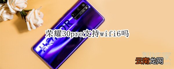 荣耀30pro支持wifi6吗