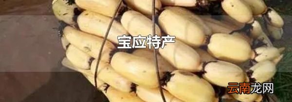 宝应特产