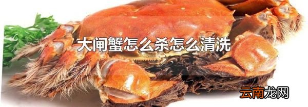 大闸蟹怎么杀怎么清洗