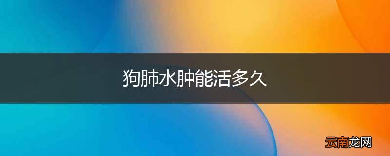 狗肺水肿能活多久