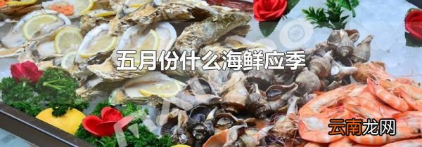 五月份什么海鲜应季