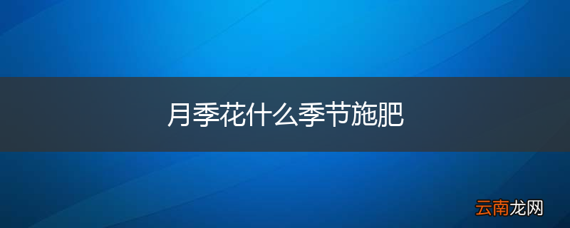月季花什么季节施肥