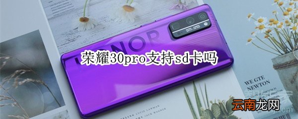 荣耀30pro支持sd卡吗