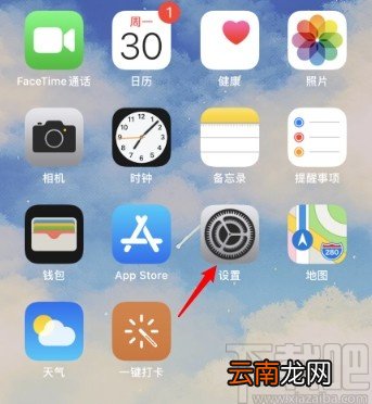 iPhone 11关闭副卡的操作方法