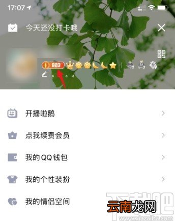 手机QQ关闭能量值标识的方法