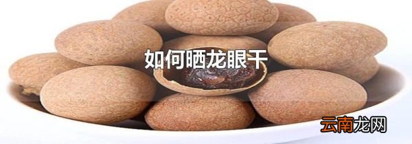 如何晒龙眼干